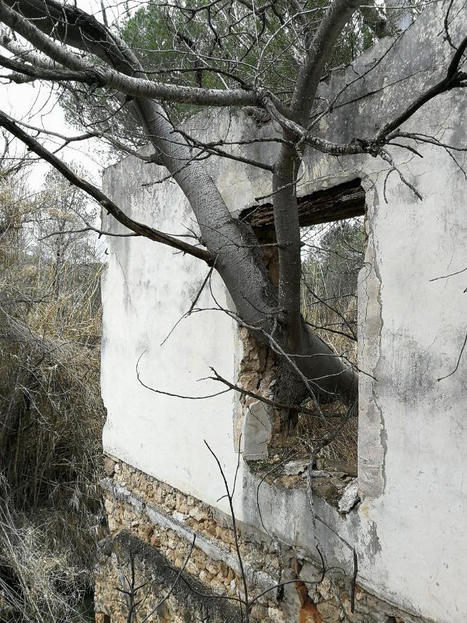 Casa Rural Rio Cabriel Villamalea Exterior foto
